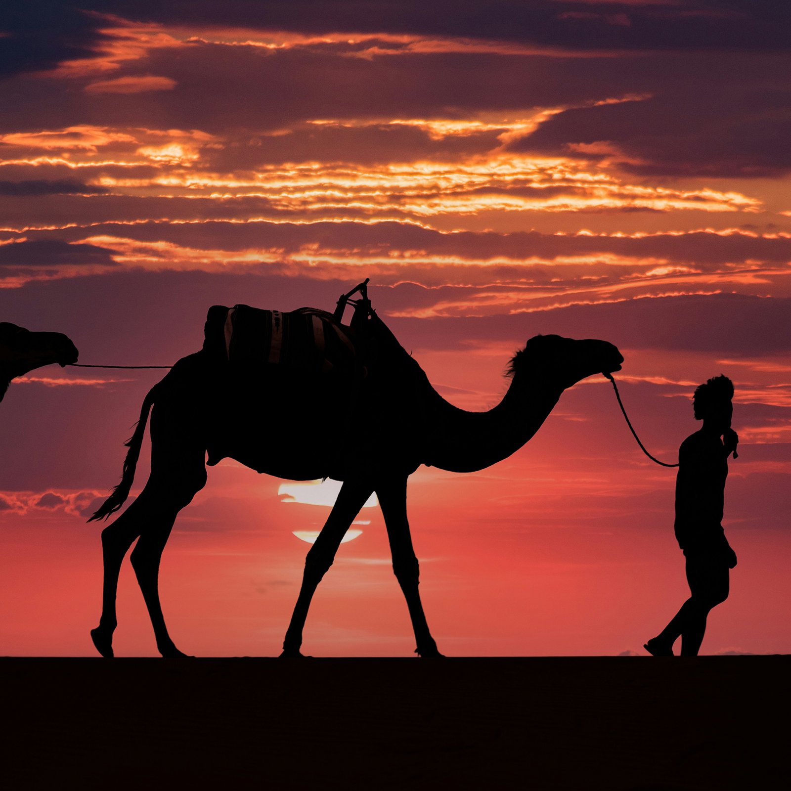 12-day-morocco-tour-desert-coast-culture